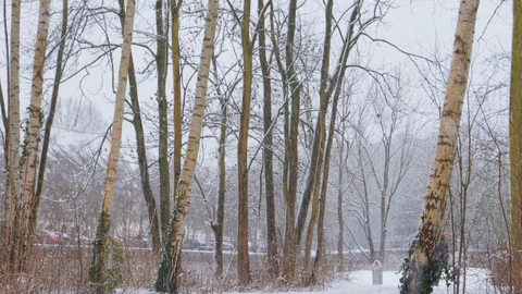Man in down jacket walking on road in park. Cold winter day Stockbeeldmateriaal 95819363