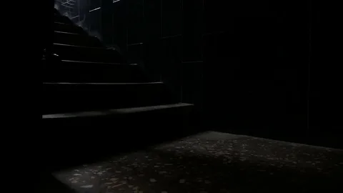 Man down the stairs Stock Footage 73240248