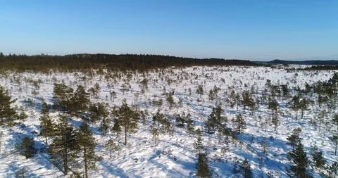 Man draging a sledge, Cinema 4k aerial tilt view over a male walking with a b Stock Footage 87126021