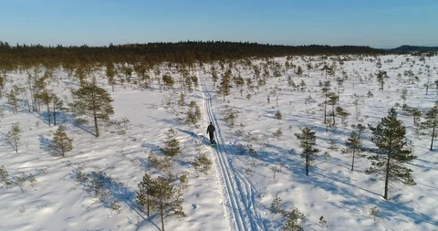 Man draging a sledge, Cinema 4k aerial view around small trees on a bog, a ma Stock Footage 87126518