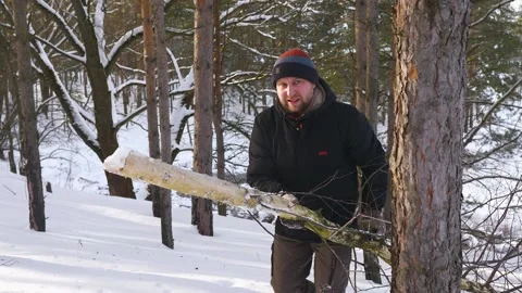 Man drags a sawn tree in a winter snow-covered forest Stock Footage 194450727