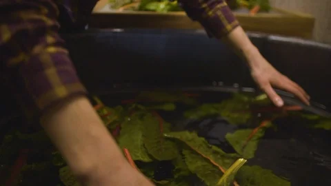 Man draining water from washed kale leaves Stock Footage 87837531