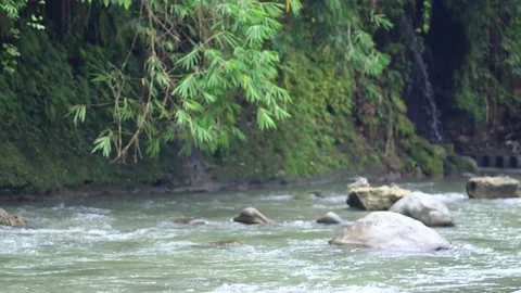 A Man With Dreadlocks Happily Presenting what Nature Offer at a River Stock Footage 208932383