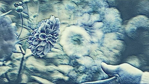 Man, Dreamer, Creative, Flowers Stock Footage 321634516