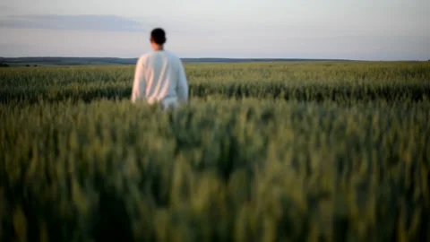 A man dressed in white is walking on tall green grass. View from the back Stock Footage 221708697