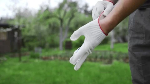 Man dresses working gloves on his hands at the garden, preparings for work Stock Footage 89361201