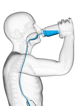 Man drinking, artwork Stock Illustration