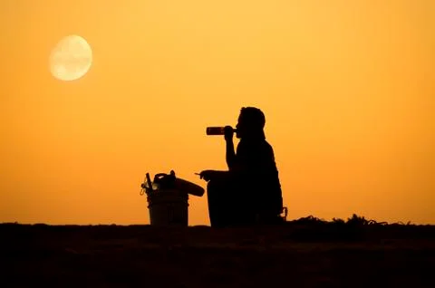 Man Drinking Beer Stock Photos