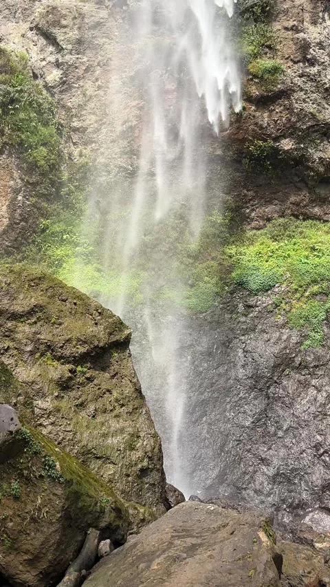 Man Drinking From Cup by Waterfall in Tropical Forest Vertical Pan Up Stock Footage 323912122