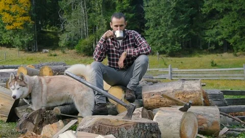 Man drinking tea on chopped wood with siberian husky dog Stock Footage 82700891