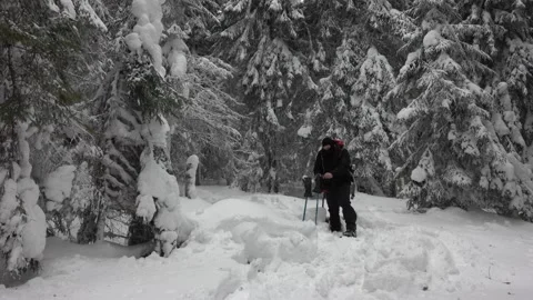 Man Drinking Tea Or Coffee In Snowy Winter Forest. Video stock 170304458