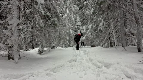 Man Drinking Tea Or Coffee In Snowy Winter Forest. Stock Footage 220736676