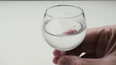 Man drinks a glass of vodka Stock-Footage 77300332