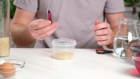 A man drips red dye into a container of rice. An unusual way of coloring and Stock Footage 242298603