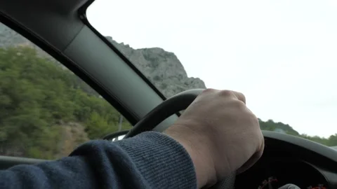 Man drives car past pine trees growing on mountain slope under cloudy sky Stock Footage 258986335