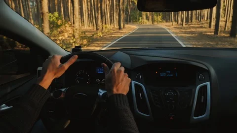 A man drives a car on a road through a pine forest Stock Footage 120510587