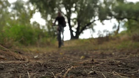 Man drives through forest and stops right in front of camera Stock Footage 284621709