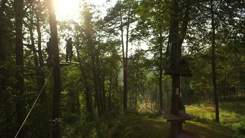 Man Drives from Tree to Tree with a Board on Ropes in the Tree Obstacle Course Stock Footage 263040016