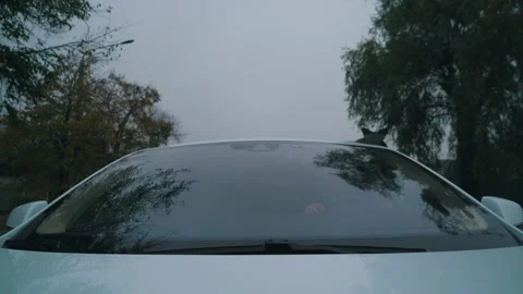 A man drives a white car Stock Footage 144581460