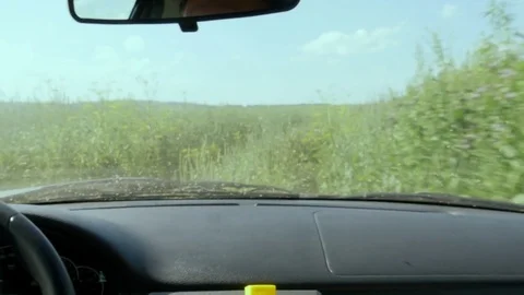 Man is driving behind the wheel Video stock 80535041