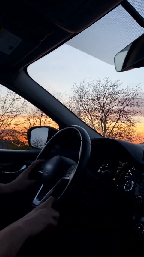 Man driving car on sunset Stock-Footage 220257444