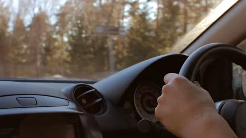 Man is driving a car through forest under the sun. Lens flare Stock Footage 74434520