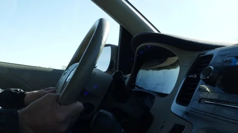 Man Driving in Car View of Staring Wheel and Hands Close Up Stock Footage 81925665