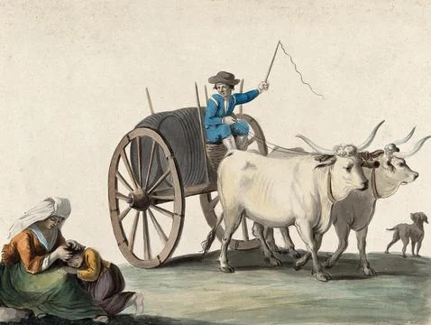 A man driving a cart pulled by two oxen; in the left foreground a woman pic.. Stock Illustration