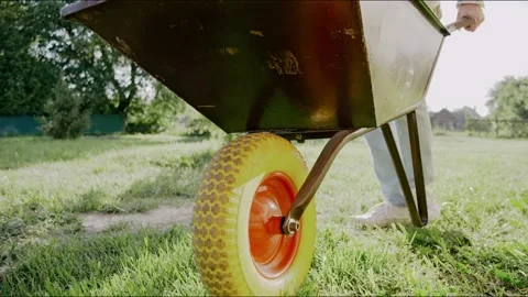 Man is driving a colourful wheelbarrow at the backyard on a sunny day Stock Footage 199872084