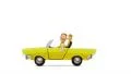 Man driving a convertible vintage car, alpha matte, stop motion. HD Footage