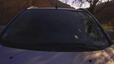 Man driving offroad car through forest Stock Footage 224065196