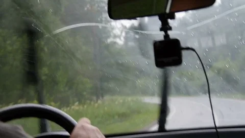 Man is driving past the forest Stock Footage 80144615