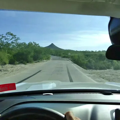 Man Driving POV Stock Footage 236259670