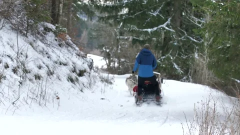 Man driving a sled in the snow Stock Footage 158925436