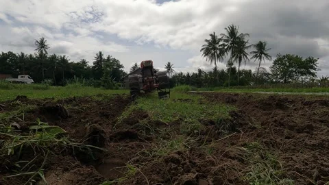 Man Driving Tractor in Rice Field – Rural Agriculture Morning Activity Video stock 320853209