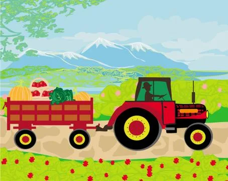 Man driving a tractor with a trailer full of vegetables Stock Illustration