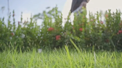A man dropped a plastic bottle on the grass in a park. He destroys nature and in Stock Footage 145178095