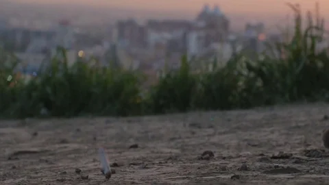 Man dropping a cigarette on a ground in slow motion Stock Footage 76381832