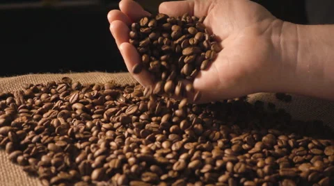 Man dropping coffee beans onto sacking in slow motion Stock Footage 55371686