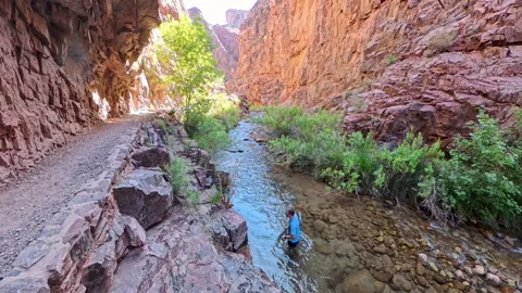Man Dunks in the Creek Stock Footage 335880520