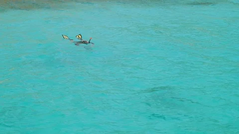 Man during intro diving in emerald water of lake. Stock Footage 88732479