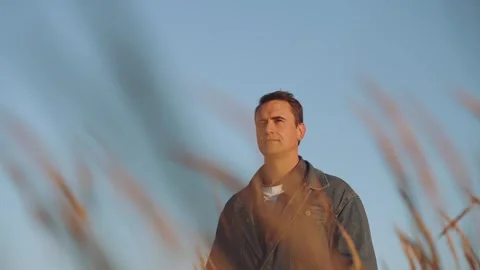 A man in ears of wheat,a man in a field of wheat Stock Footage 317033265