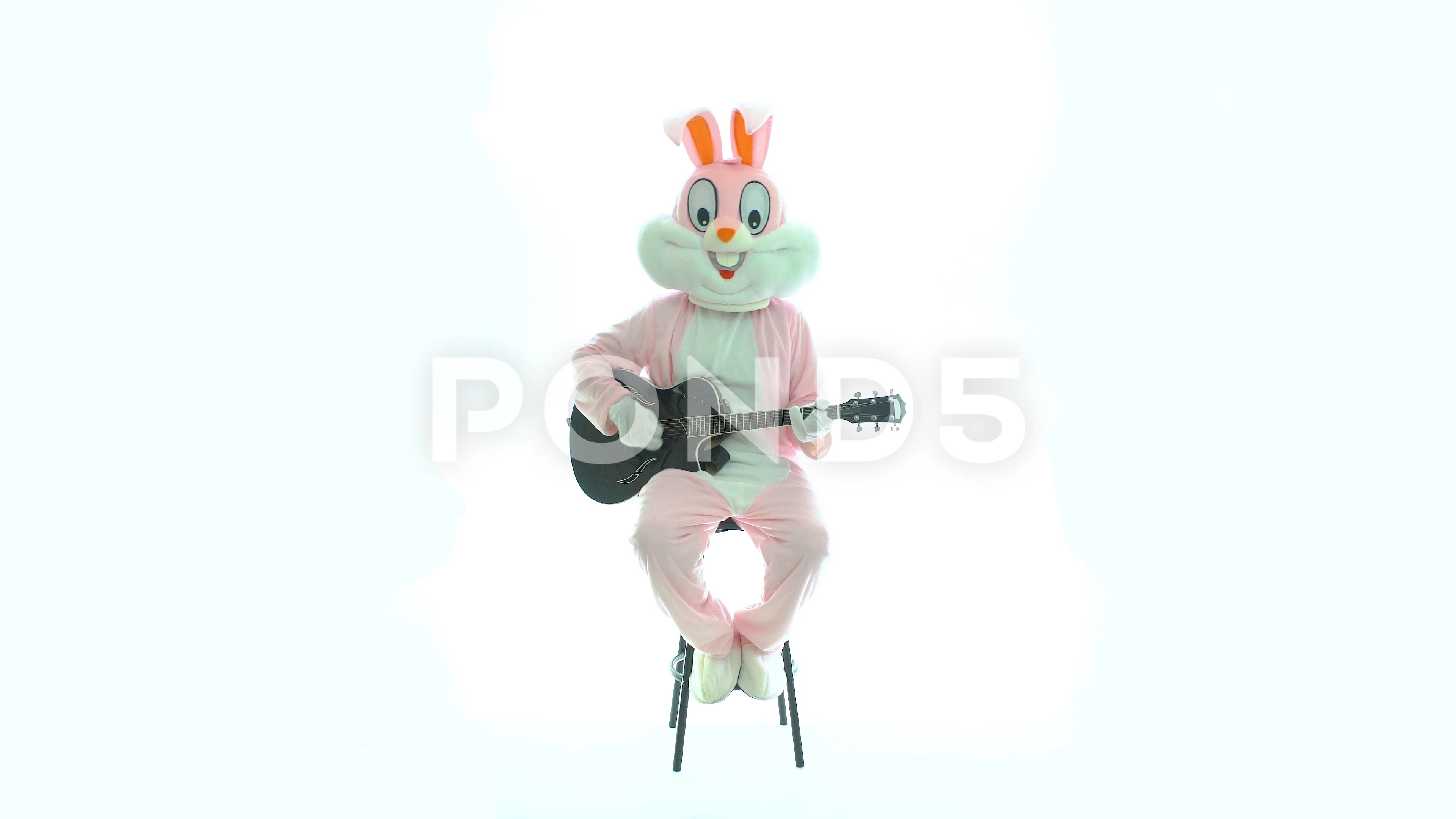 Man in easter bunny costume plays music on guitar, celebrates easter, have  fun