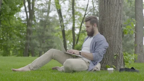 Man eat in work in park on grass Stock Footage 85277463