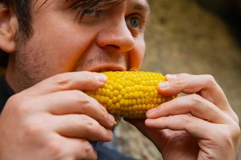 Man eating boiled corn cob. Portrait of hungry guy enjoying yellow vegetabl.. Fotos de archivo