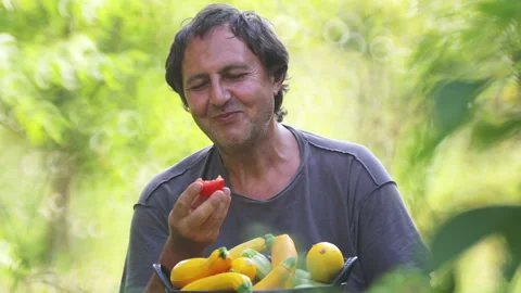 A man eats fresh vegetables, tomato, carrots, cucumber. Stock Footage 113521341