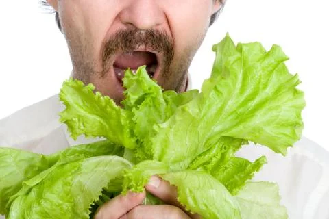 Man eats sheet of the salad Stock Photos
