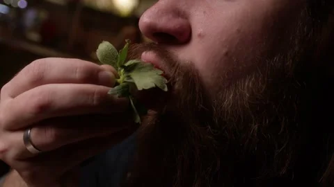 A man eats strawberries Stock Footage 223881553