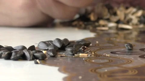 Man eats sunflower seeds at the table. A small snack tasty treat Stock Footage 81716105