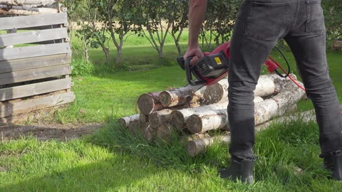 Man with electrical chainsaw saws trunk of trees for firewood. Original sound Stock Footage 138406229